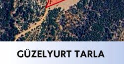 MUT GÜZELYURT SATILIK TARLA