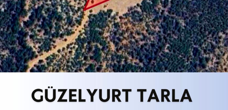 MUT GÜZELYURT SATILIK TARLA