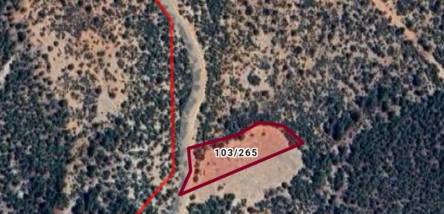 MUT GÜZELYURT SATILIK TARLA