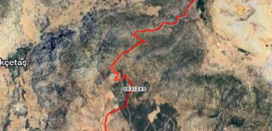 MUT GÜZELYURT SATILIK TARLA